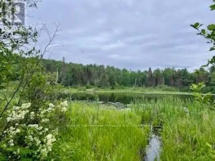 LOT 5 GEORGES ROAD, Bonfield