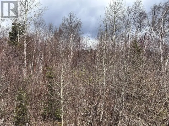 Lot 5 Glenview Estates Extension, Clarenville