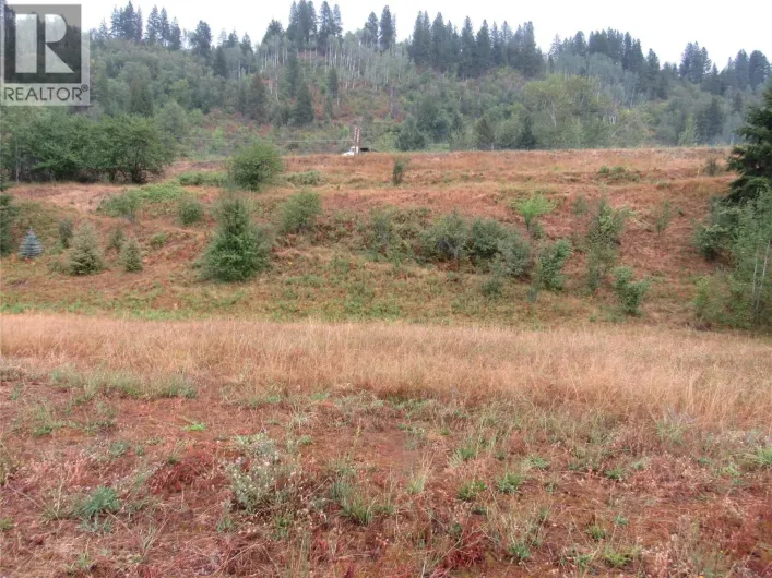 Lot 5 Pearson Road, Castlegar