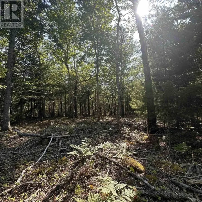 Lot 51 Island View Terrace, Labelle