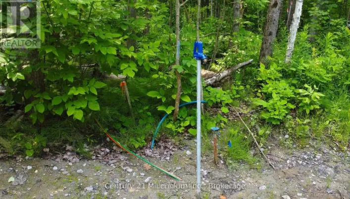 LOT 52 TINY BEACHES ROAD N, Tiny