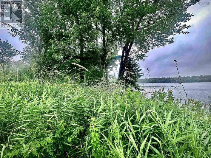 Lot 5-3 602 Walburne Road, Newburne
