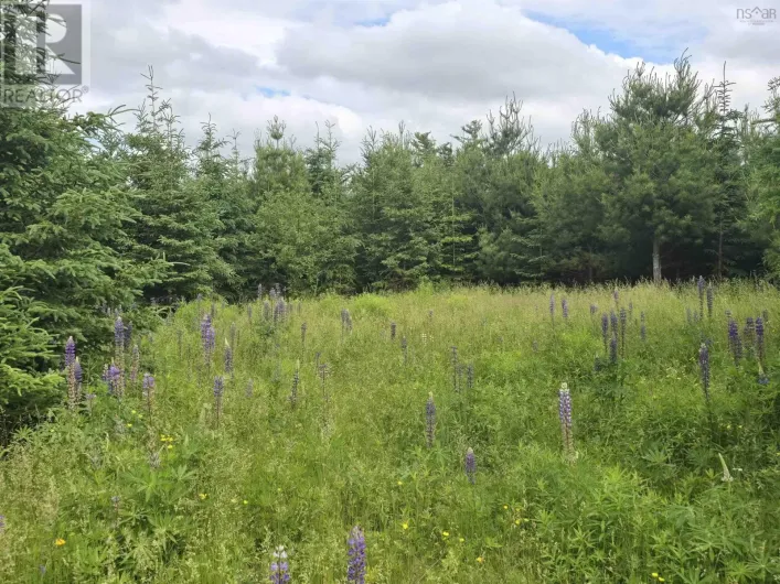 lot 6 41 Brule Shore Road, Barrachois