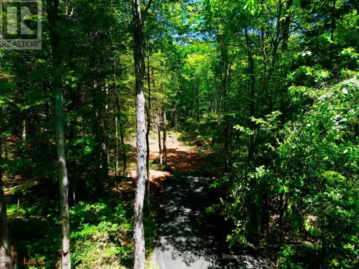 LOT 6 FAIRY FALLS ROAD, Lake of Bays