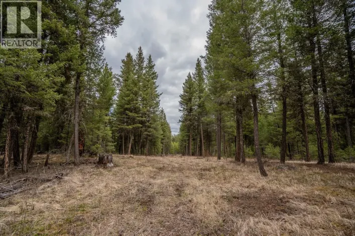LOT 6 PARK PLACE, Lac La Hache
