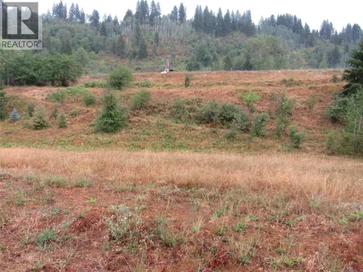 Lot 6 Pearson Road, Castlegar