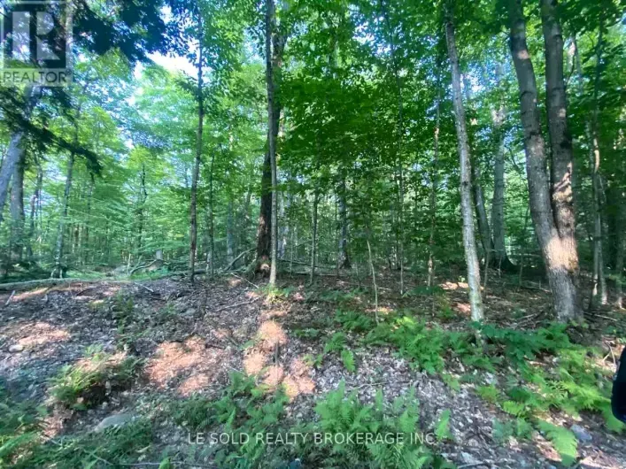 LOT # 7 - 1310 CAMEL LAKE ROAD, Muskoka Lakes