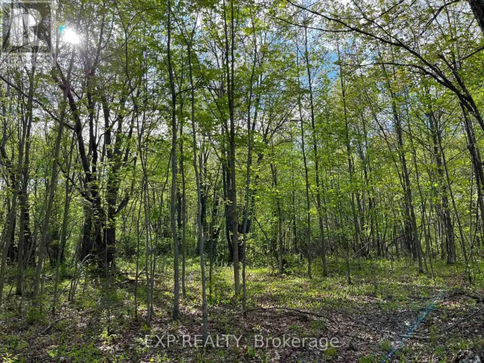 LOT 7 CASSON TRAIL, Madawaska Valley
