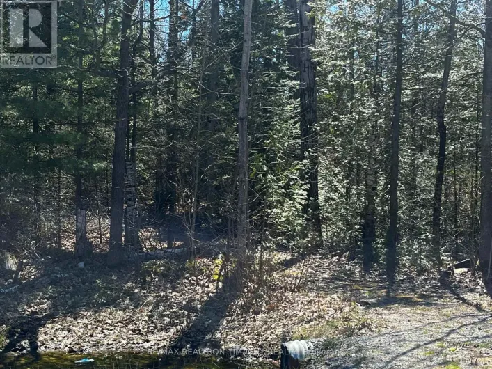 LOT 7 CHAMPLAIN ROAD, Tiny