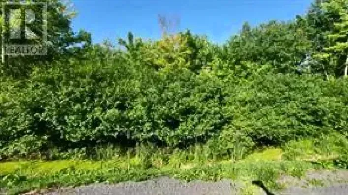 LOT 7 PLAN 246 TOLMIES CORNERS ROAD, North Stormont