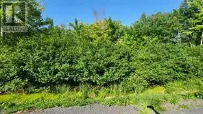 LOT 7 PLAN 246 TOLMIES CORNERS ROAD, North Stormont