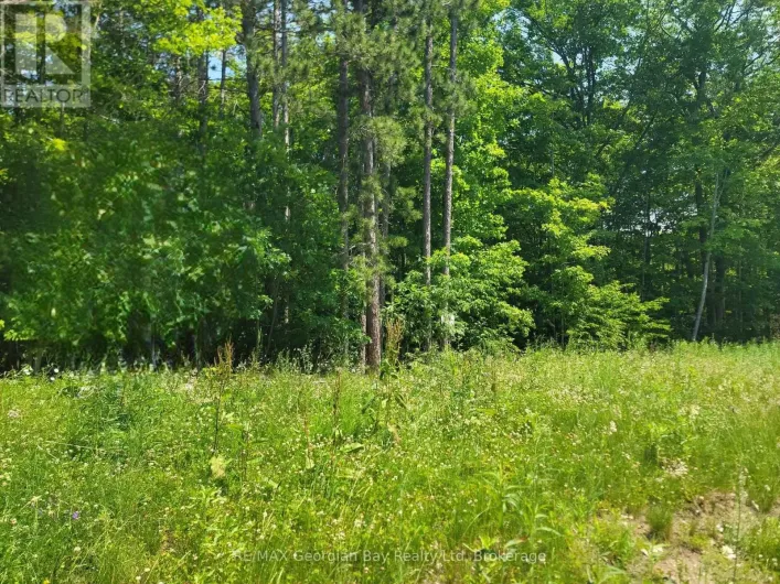 LOT 71 WHISPERING PINE CIRCLE, Tiny