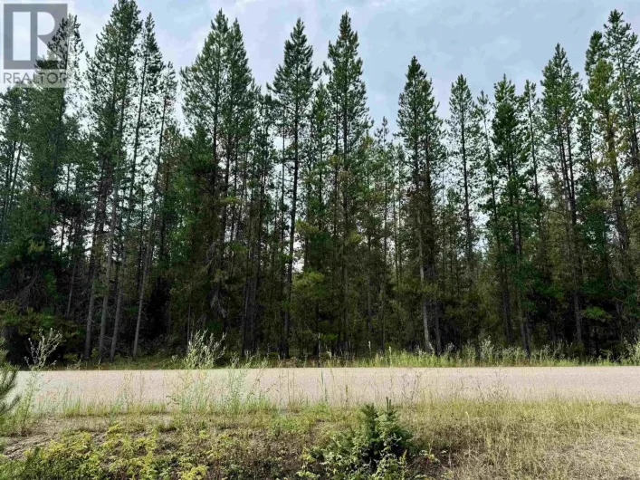 LOT 8 PINE ROAD, Valemount