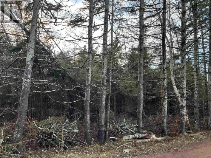 LOT 9 BIRDS EYE Drive, Rocky Point