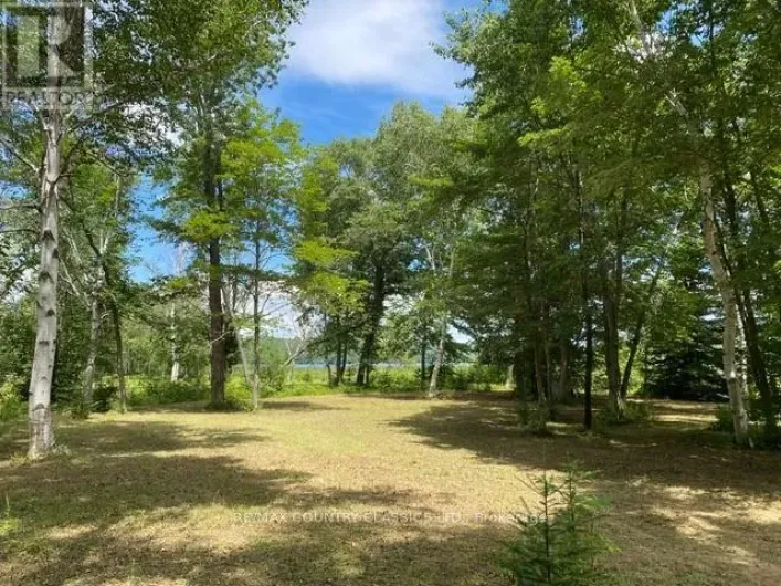 LOT 9 LOWER CRAIGMONT ROAD, Madawaska Valley
