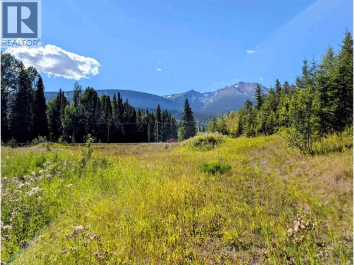 LOT A 16 HIGHWAY, Smithers