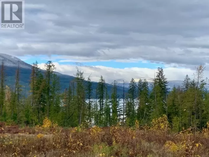 Lot A 23 Highway, Nakusp