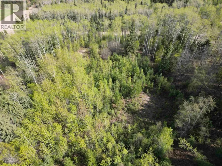 LOT A BALD HILL ROAD, Burns Lake