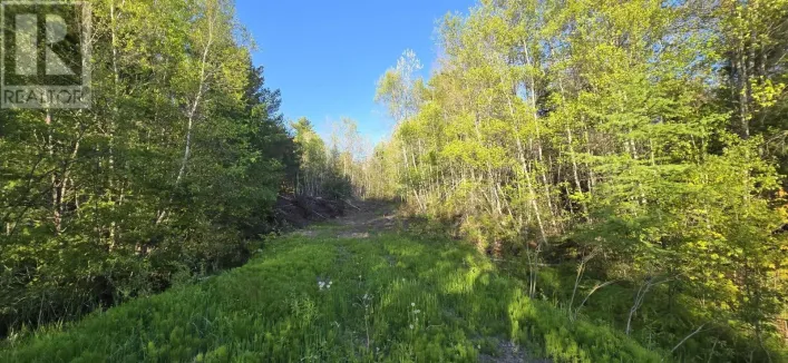 Lot A Highway 201, Greenwood