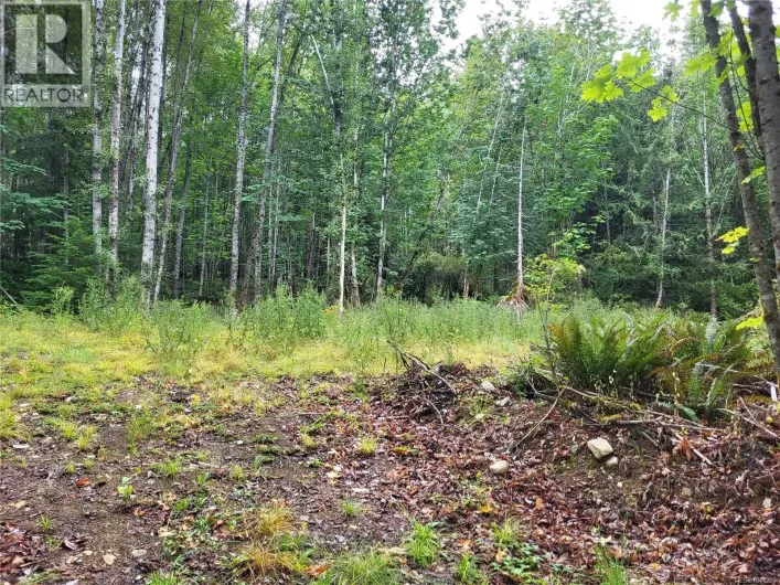 Lot B 7531 Cowichan Lake Rd, Lake Cowichan