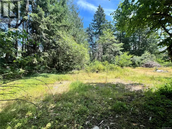 Lot B Chemainus Rd, Chemainus