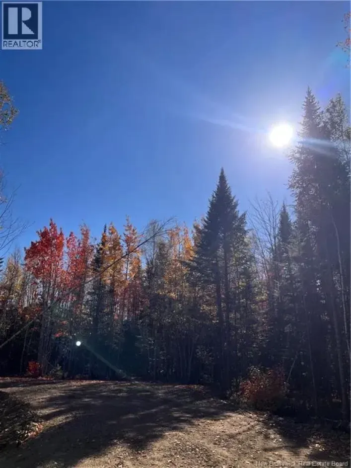 Lot Bells Mills Road, Richibucto-Village