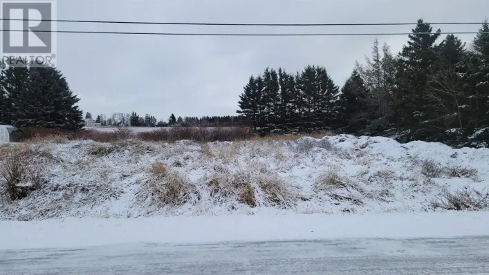 Lot Buell Road, Mermaid