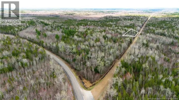LOT Chemin Gallant, Saint-Ignace