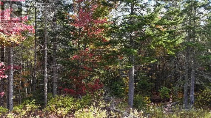 Lot Chesley Road, Barss Corner