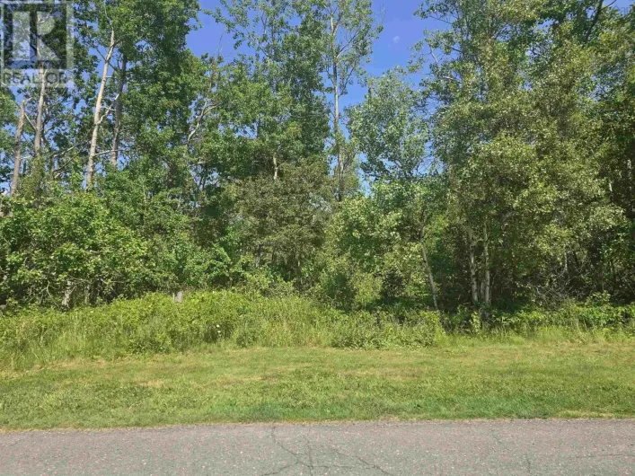 Lot Duke Street, Trenton