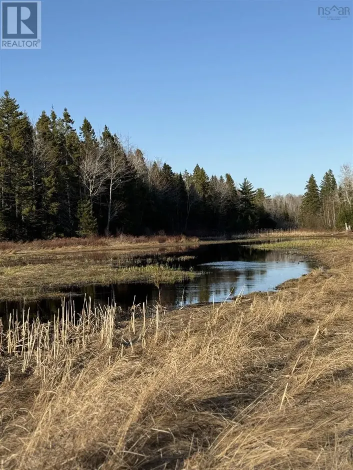 Lot EAN-1B West Tatamagouche Road, Tatamagouche