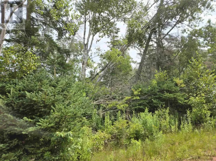 Lot Hazels Way, Gaspereaux