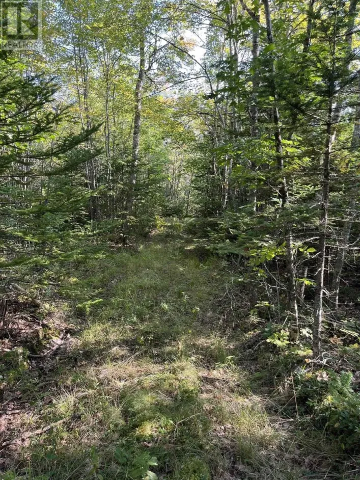 LOT Highway 10, Dalhousie