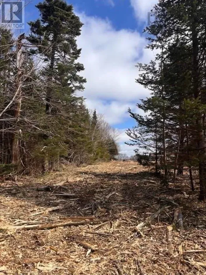 Lot KL-3 Walker Street, Lake Echo