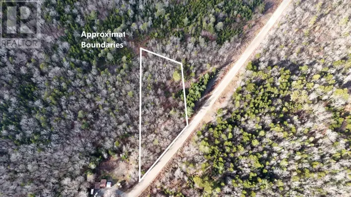 Lot Major Road, Belliveaus Cove