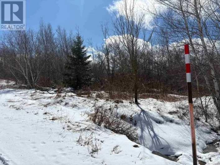 Lot - Oak Street, Trenton