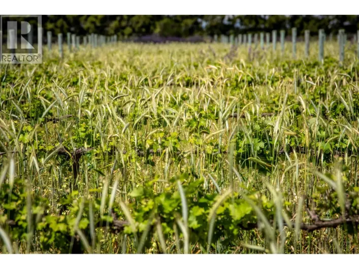 LOT P 10925 248 STREET, Maple Ridge