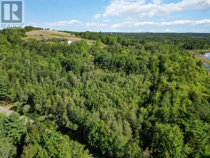 Lot (PID 60348810) Crousetown Road, Conquerall Mills