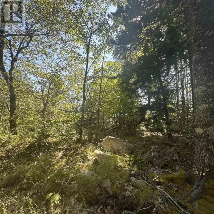 Lot (PID 70241864) Wellington Road, Buckfield