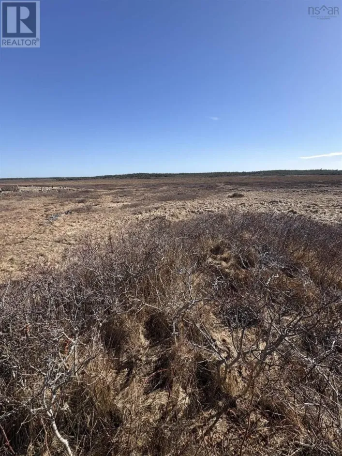 Lot (PID 80062219) Baccaro Road, Baccaro