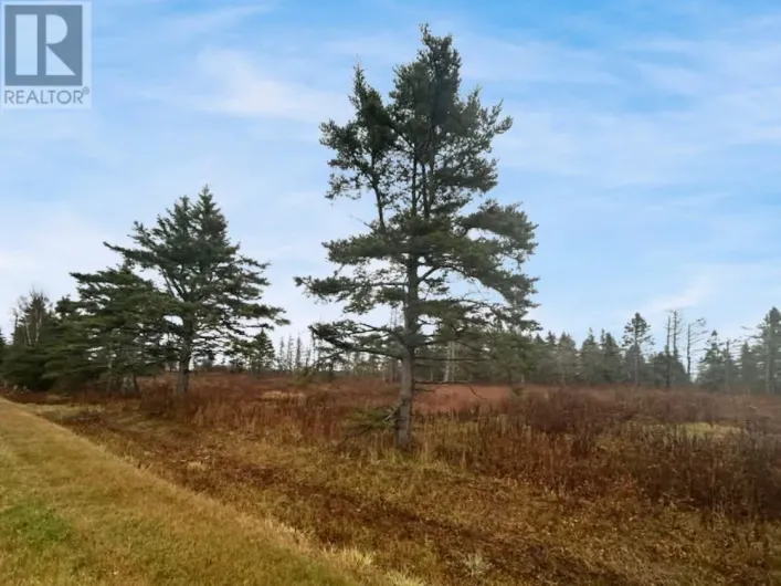 Lot Route 336, Cable Head West