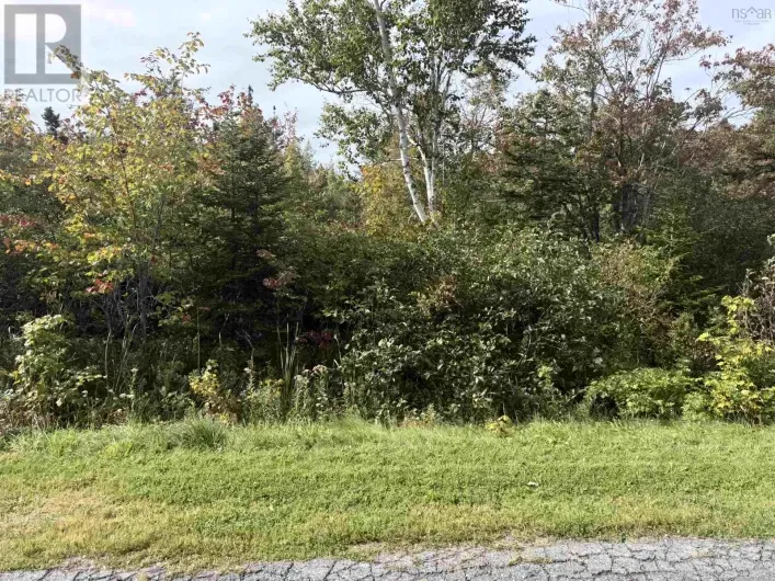 LOT25 SCHALLER Drive, Sydney Forks