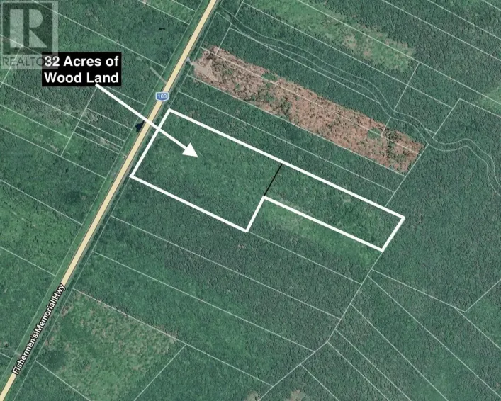 Lots (PIDs 70109236 & 70109244) Cow Road, Mill Village