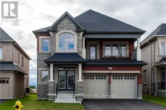 LOWER - 157 ANTORISA AVENUE, Vaughan