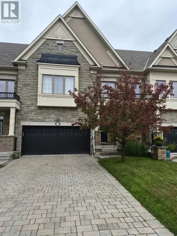 LOWER - 1573 EGLINTON AVENUE W, Mississauga