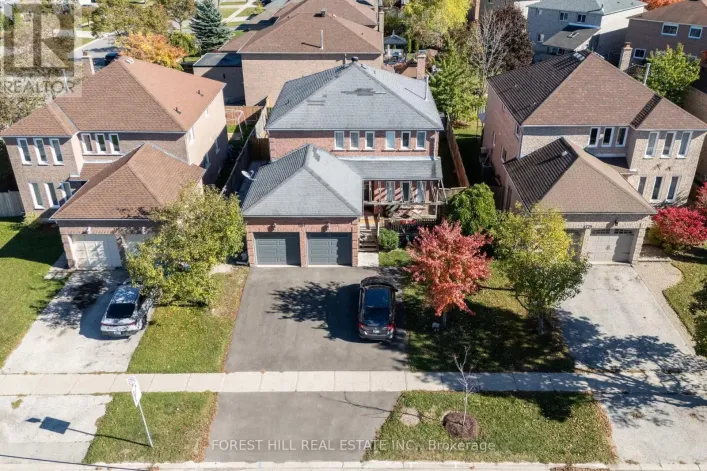 LOWER - 181 JOHNSON STREET, Barrie