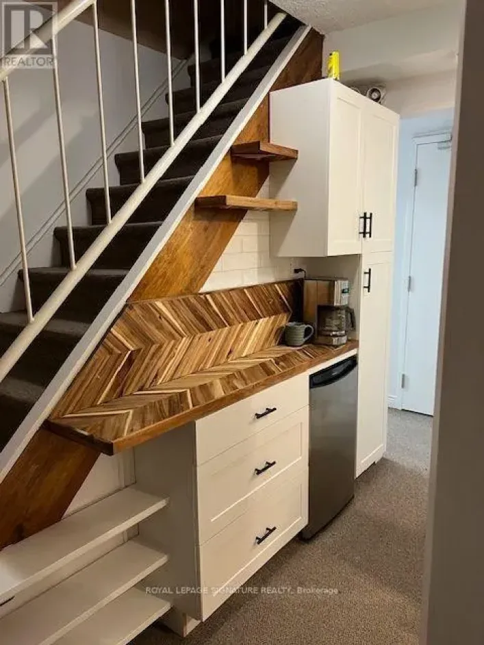 LOWER - 208 CARLTON STREET, Toronto