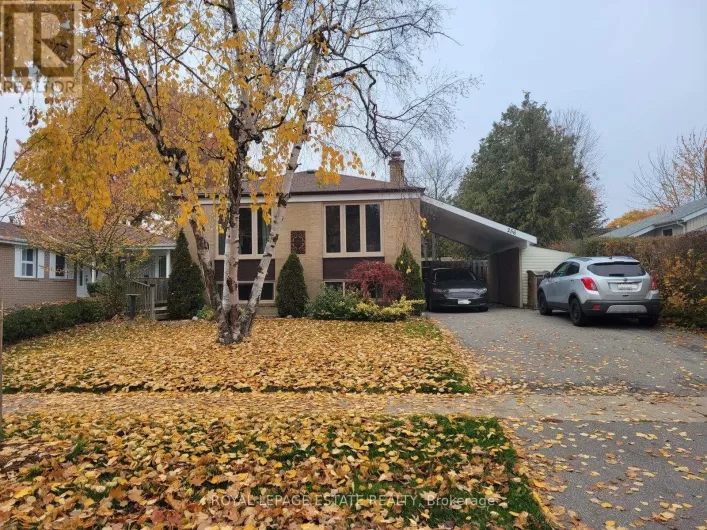 LOWER - 256 SYLVAN AVENUE, Toronto