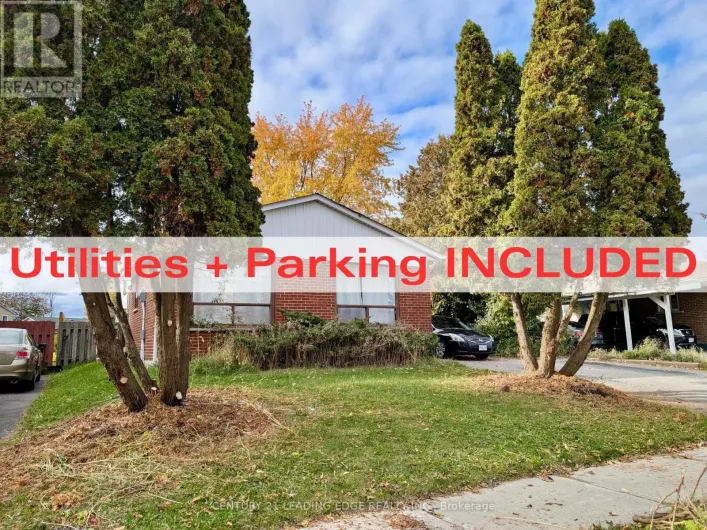 LOWER - 48 SNOWBALL CRESCENT, Toronto