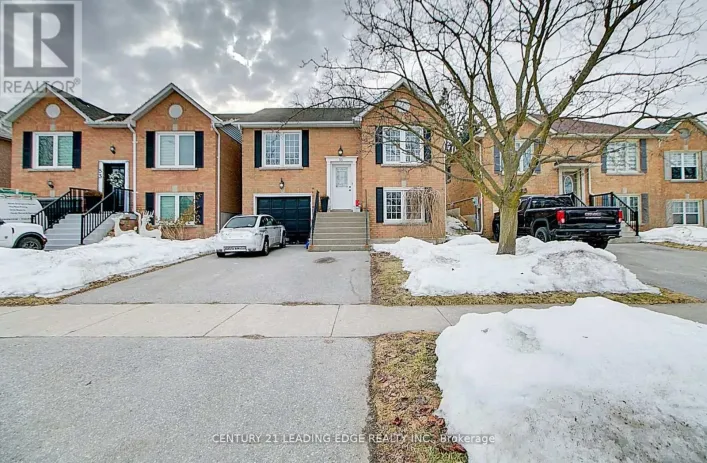 LOWER - 55 MCCRIMMON CRESCENT, Clarington
